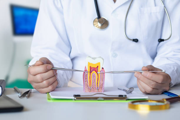 Best Emergency Dentist for Knocked-Out Tooth in Wallace, NC